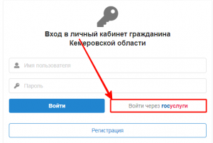 Вход в личный кабинет РУОБР на официальном сайте ruobr.ru для родителей ...